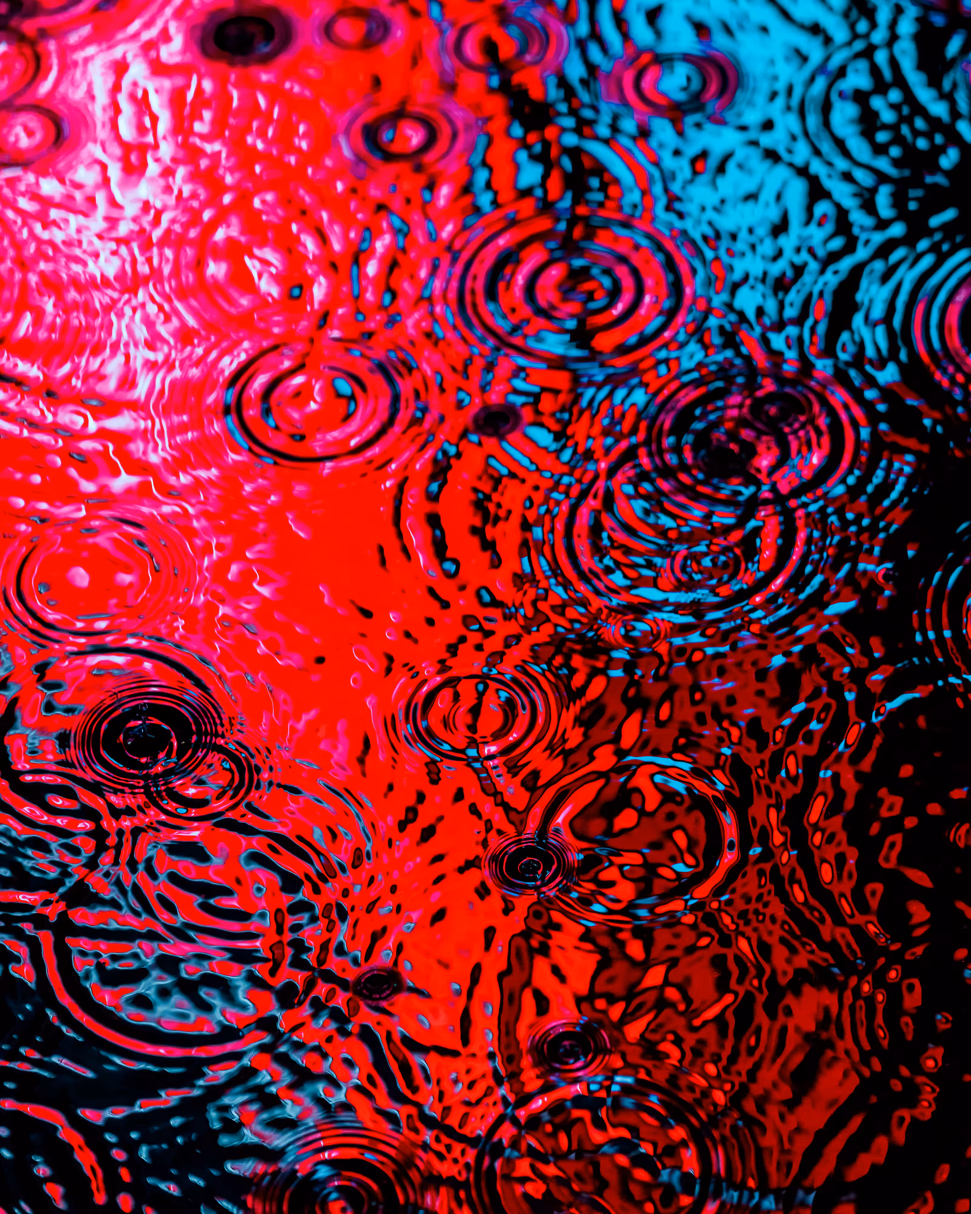 DRIP #960