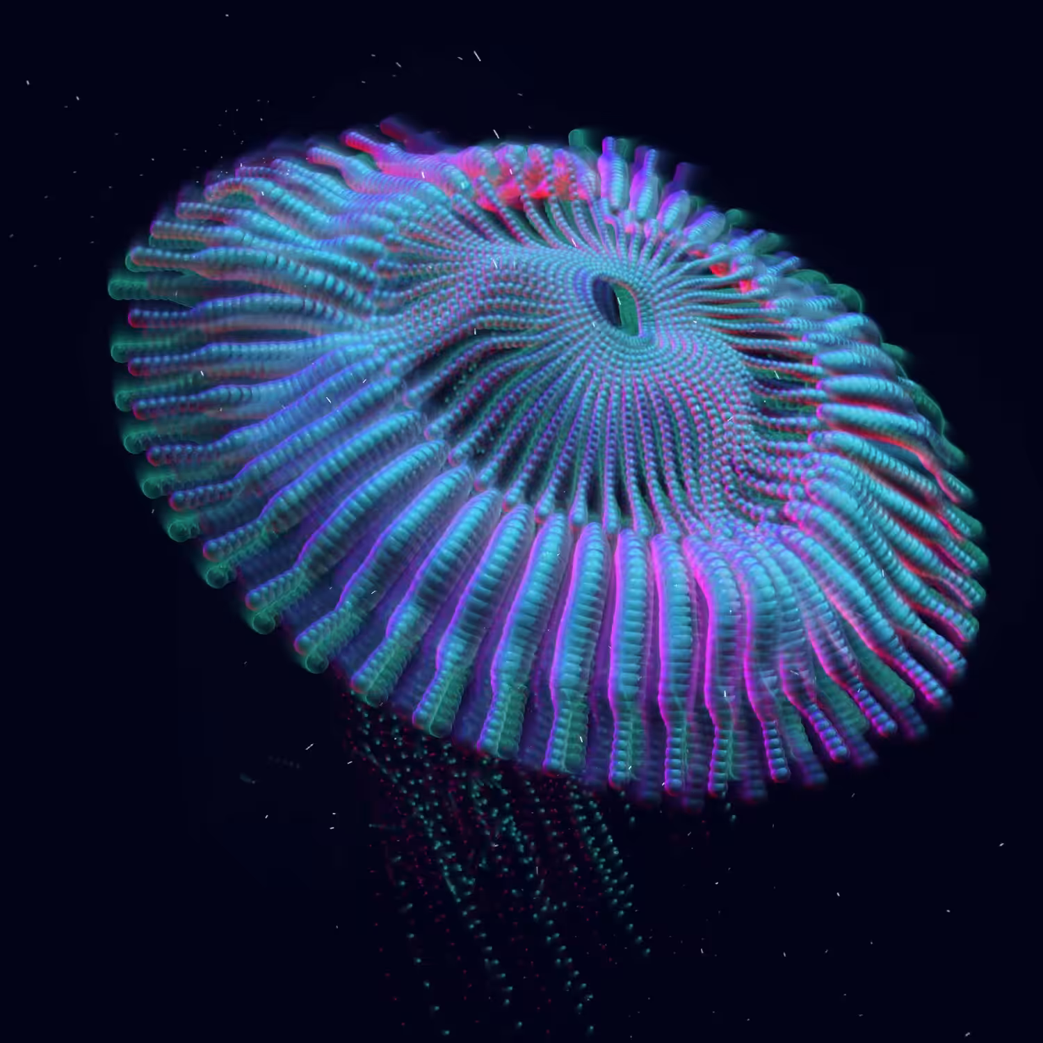 Water Visions Series, Jewel Jellyfish Collection