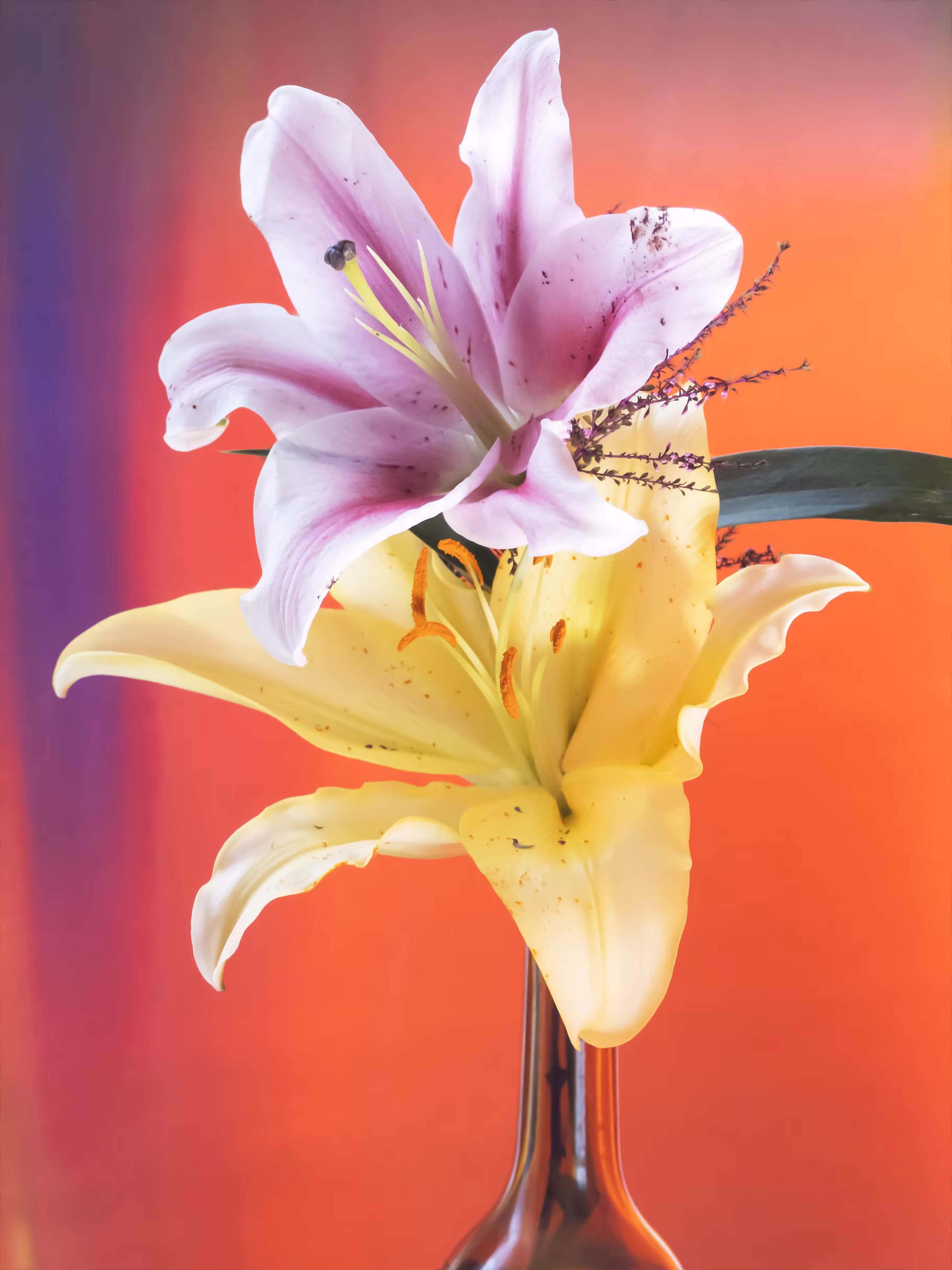 Lilies in a Bottle