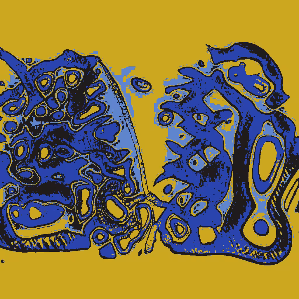 Confluence #165