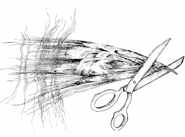 SKETCH PURPOSE