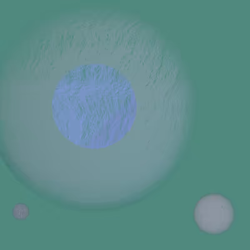 Orbit #119