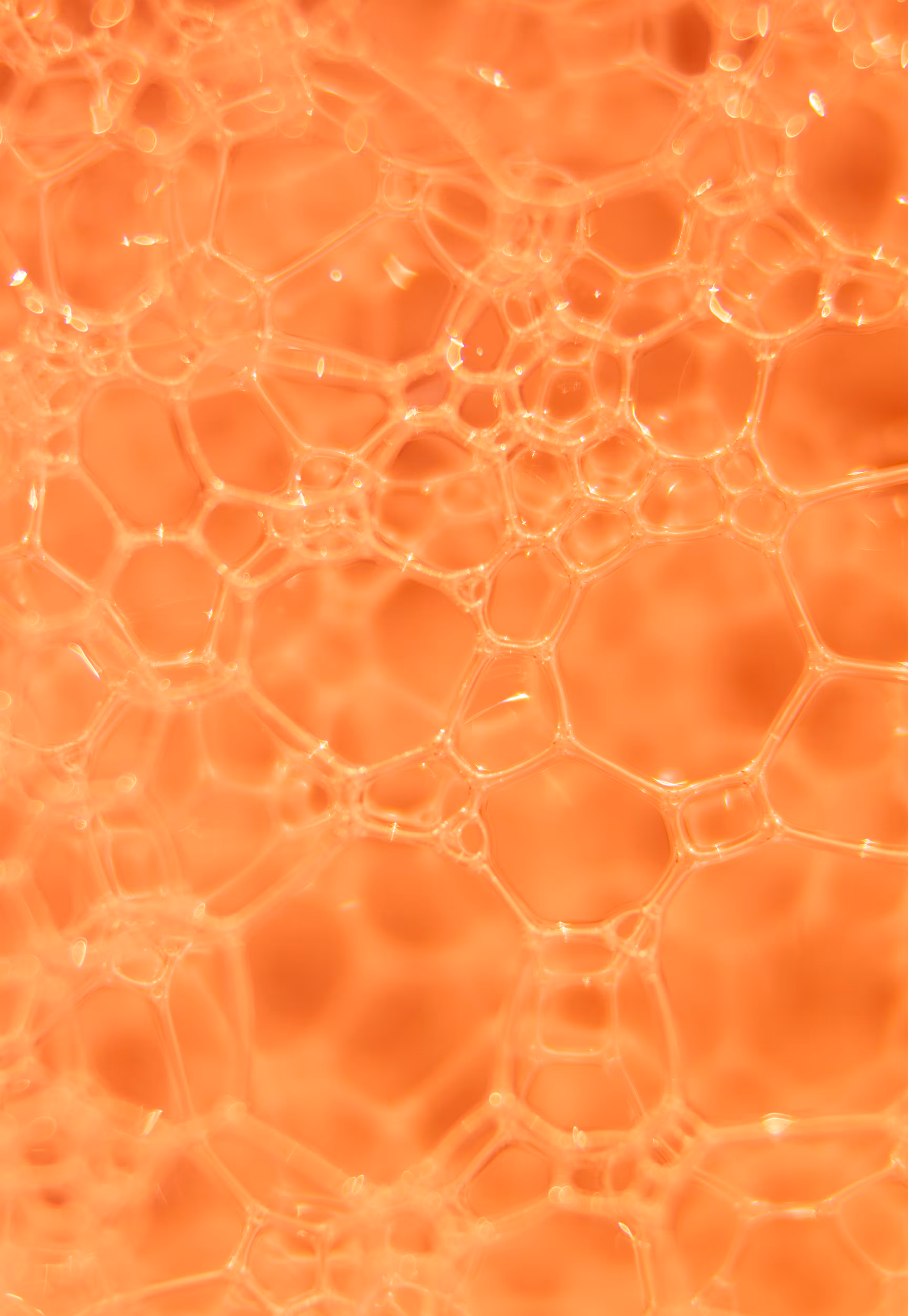 Abstract World of Soap Bubbles: #74 Bubbles
