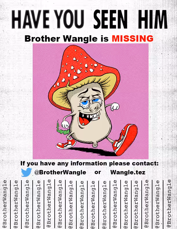 Missing Wangle 26