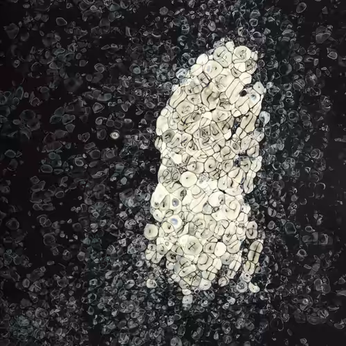 The Imagination of Matter project - Form and Order 01 #1