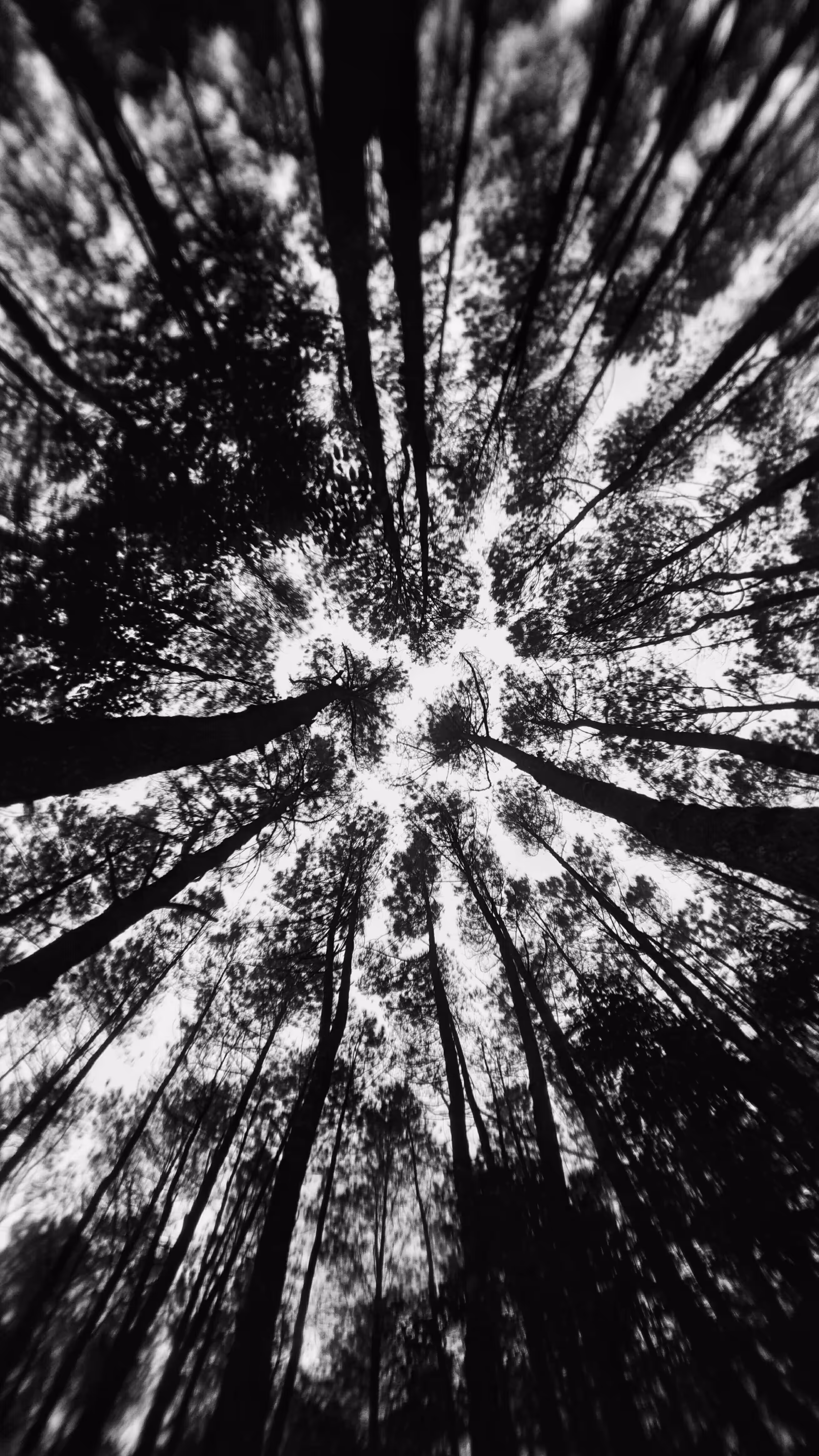 Look up