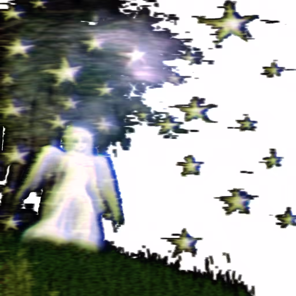 ✨✨✨✨✨✨