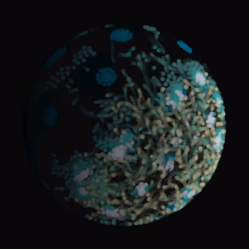 Earth #45