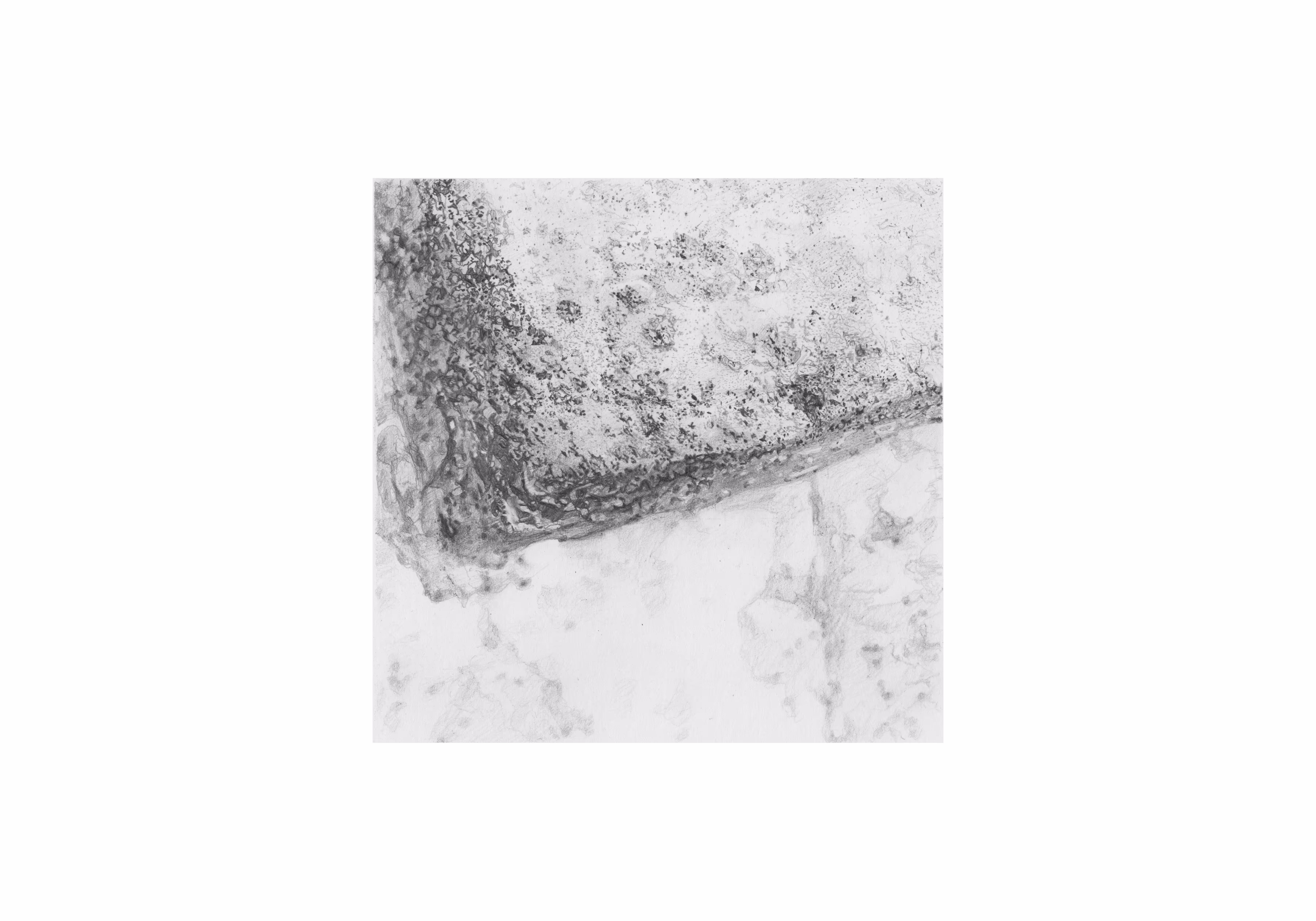 EXODIRT - WHITE (1 of 2)