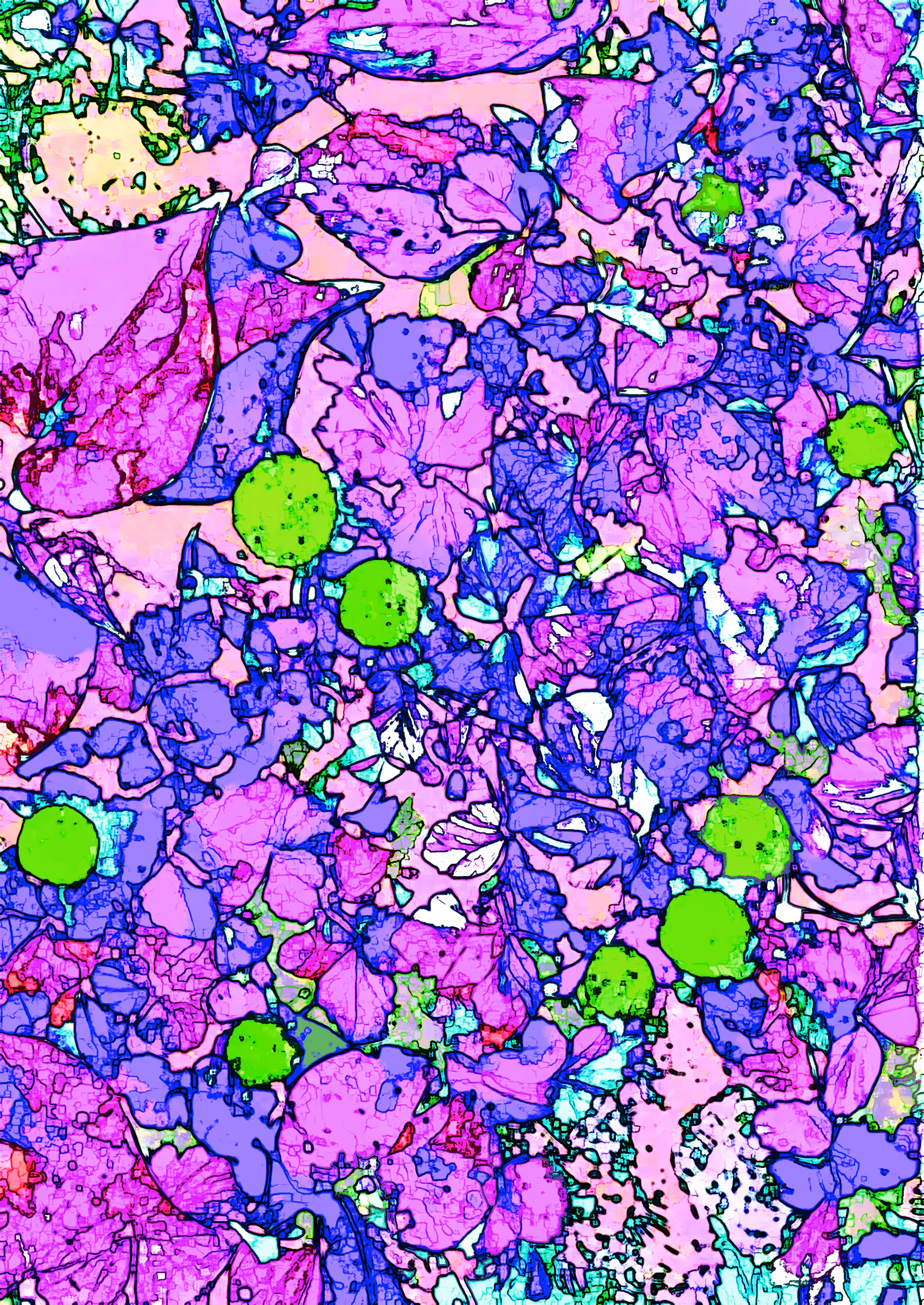 Miraculous Color: Japanese wild strawberries (colors) #2