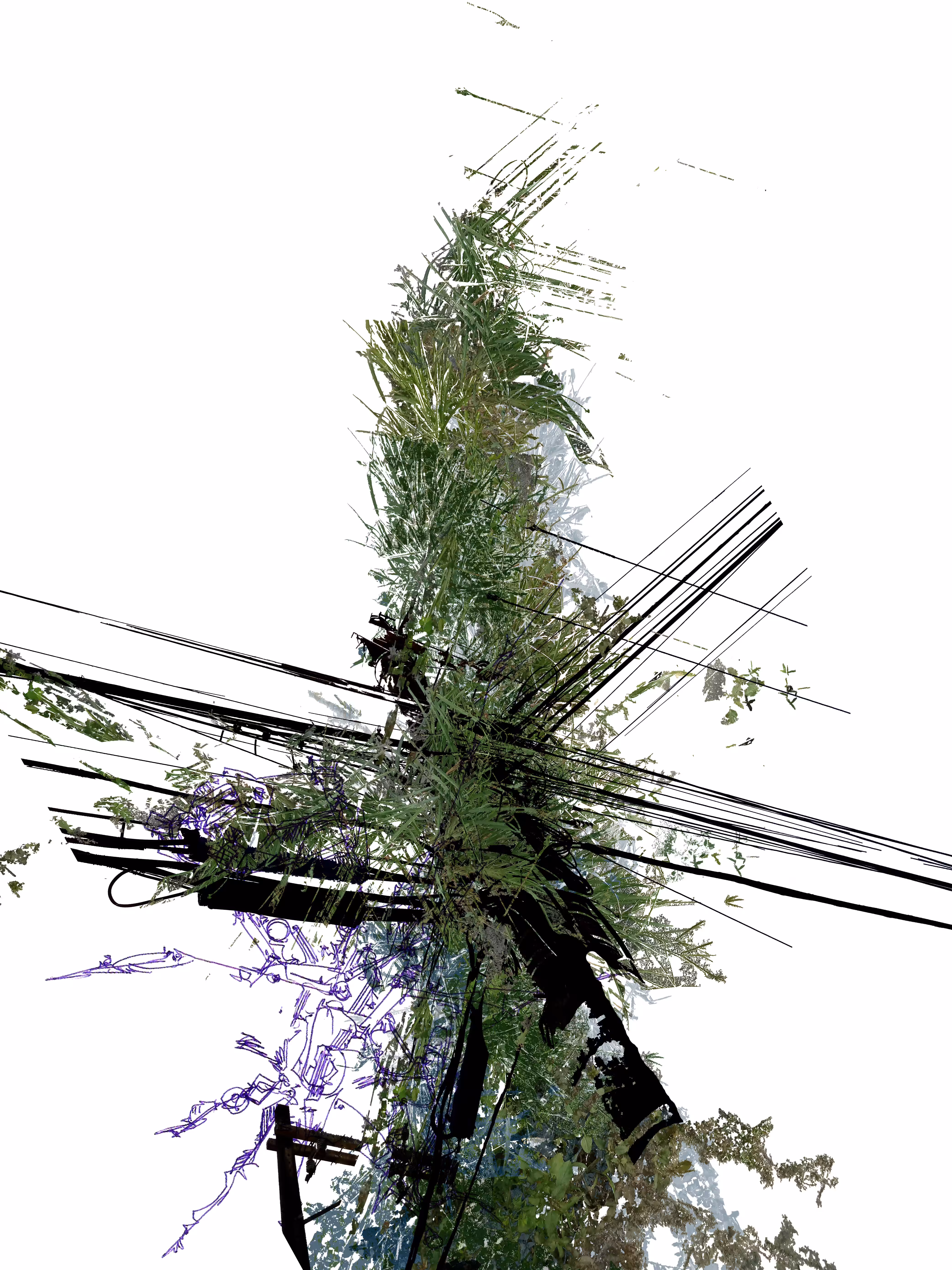 PluriOrganicGraphism I