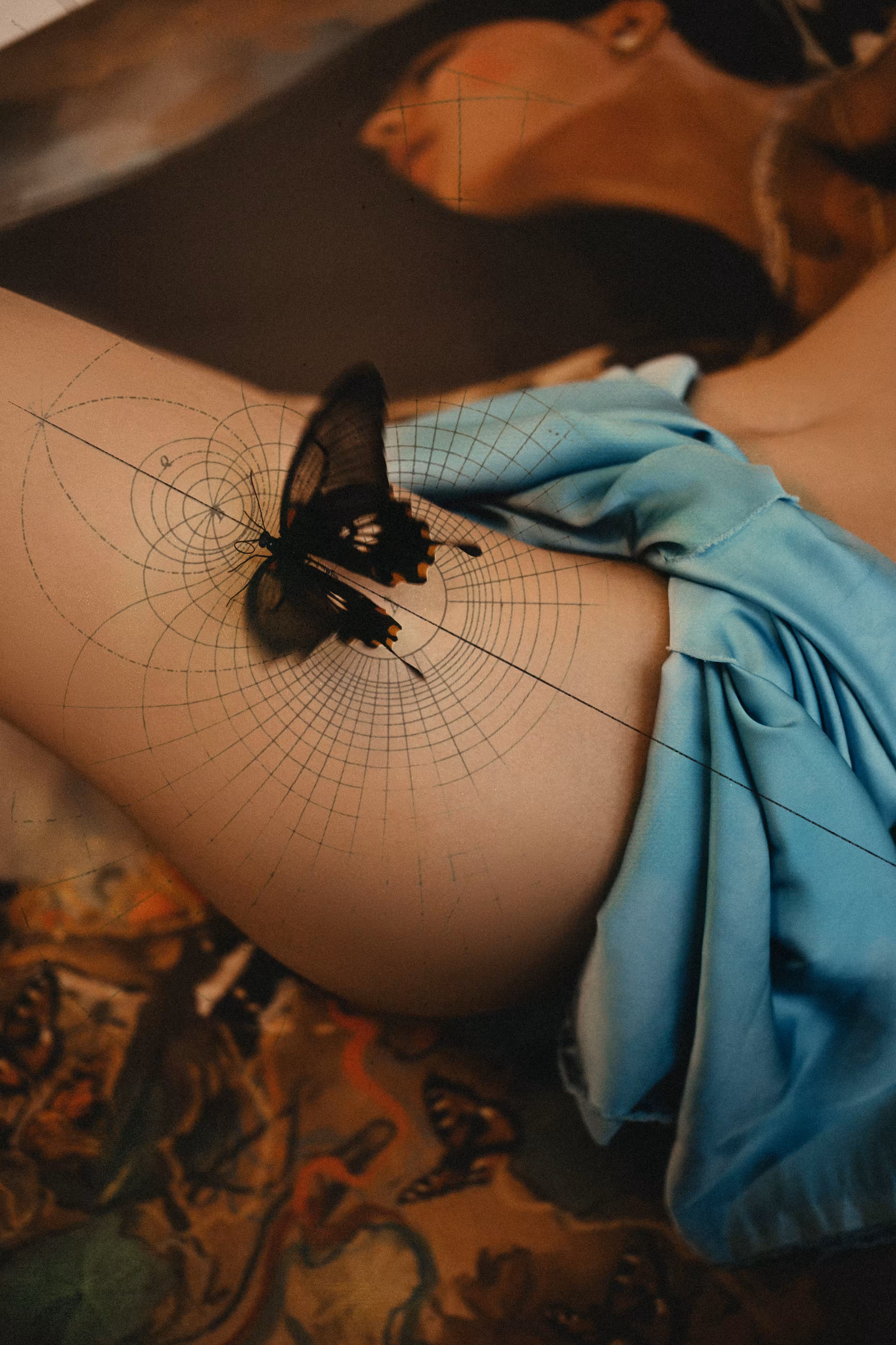 butterfly geometry