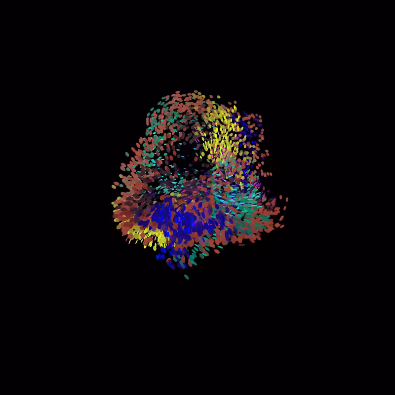 Murmuration #74