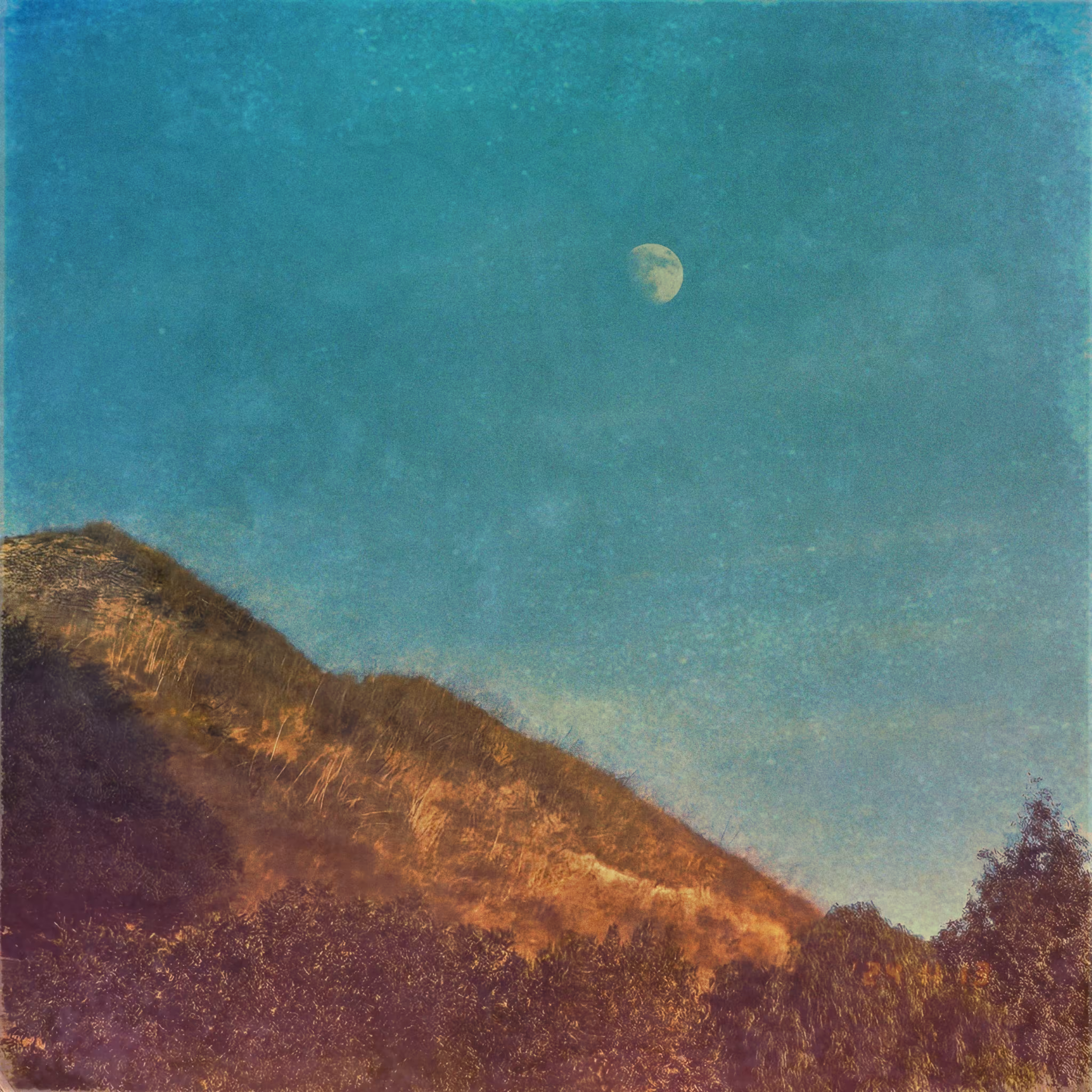 :a Visual Odyssey:: Day 318/365