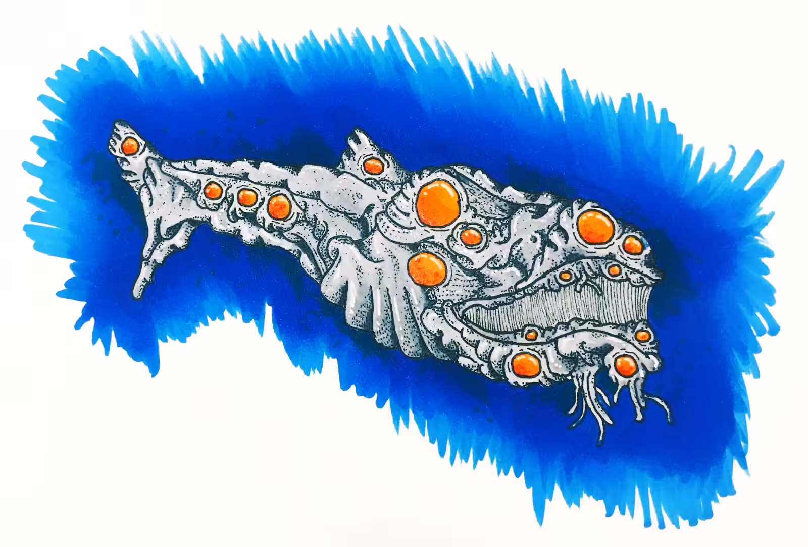 Portrait of a Whale