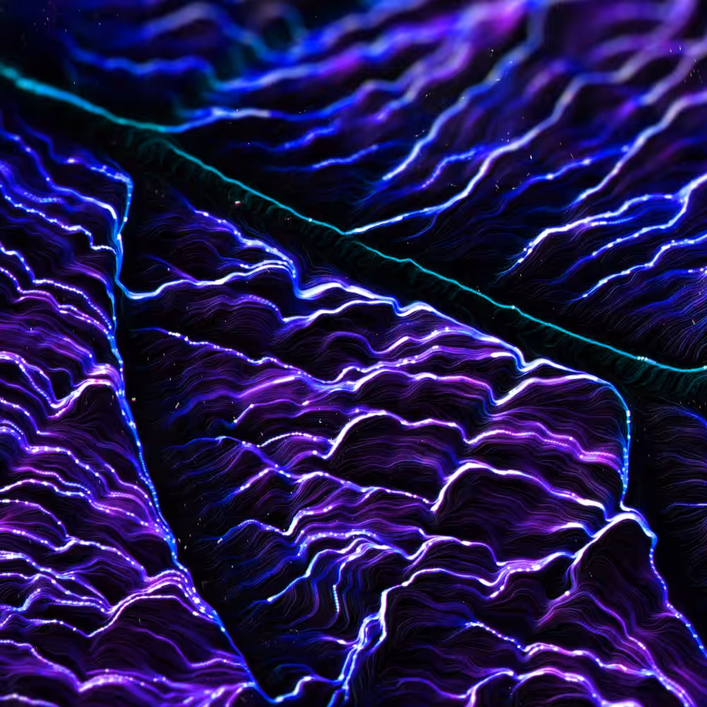 DIGIS LEAF