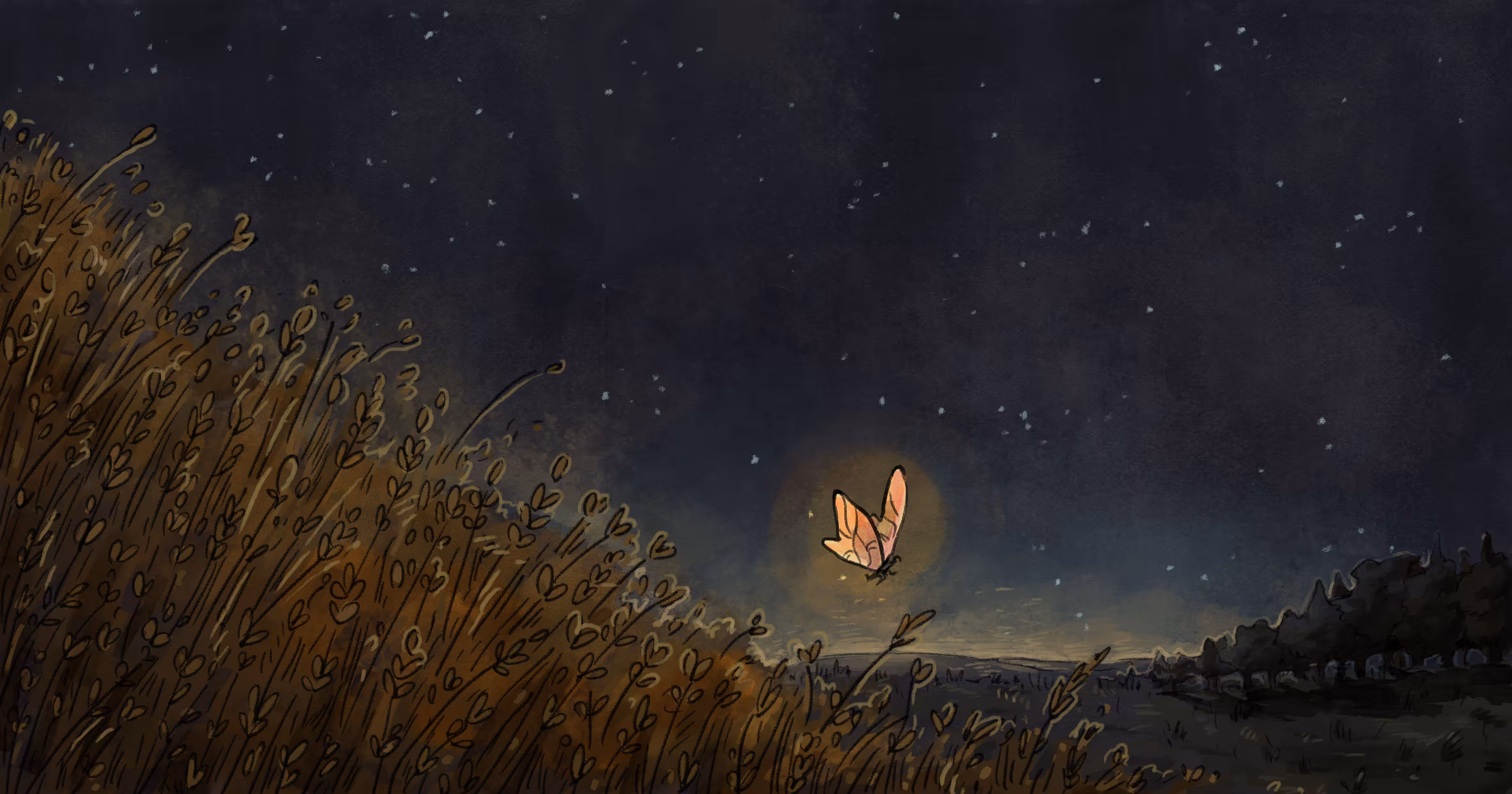 nighttime butterfly