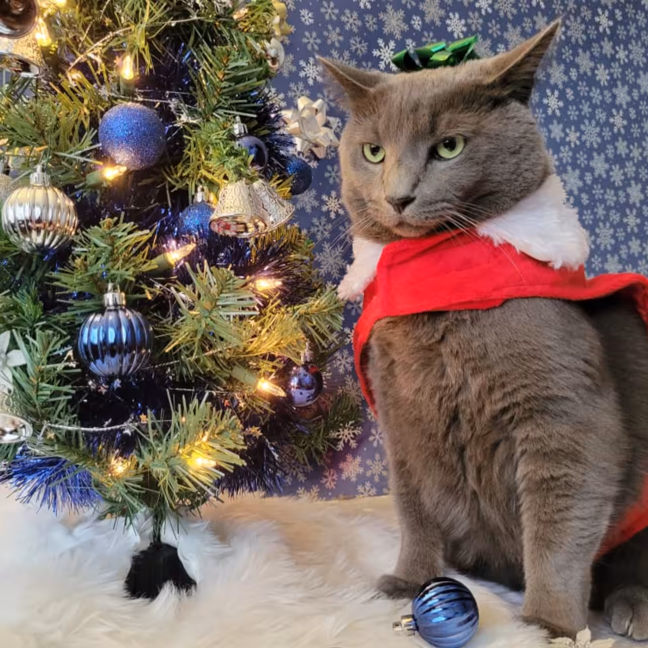 Christmas Kiki