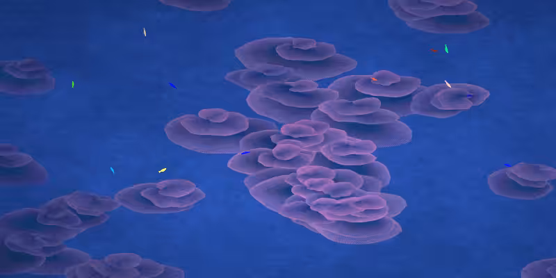 The Restoration Scheme: Reefs #20
