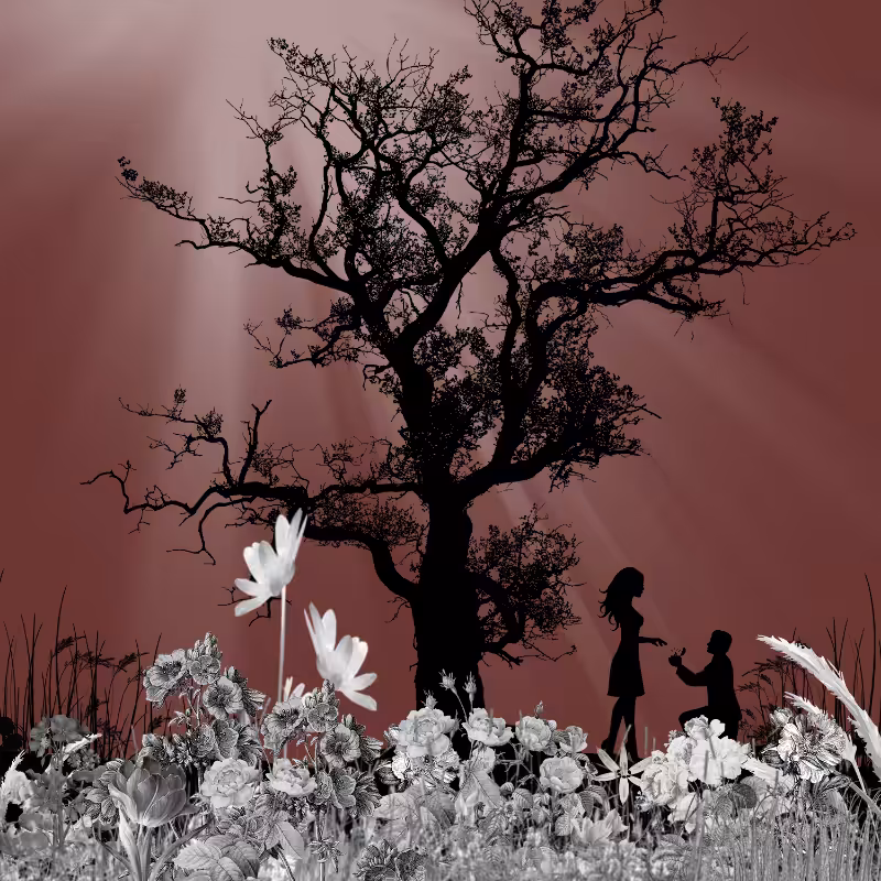 FXBWColor Garden #8