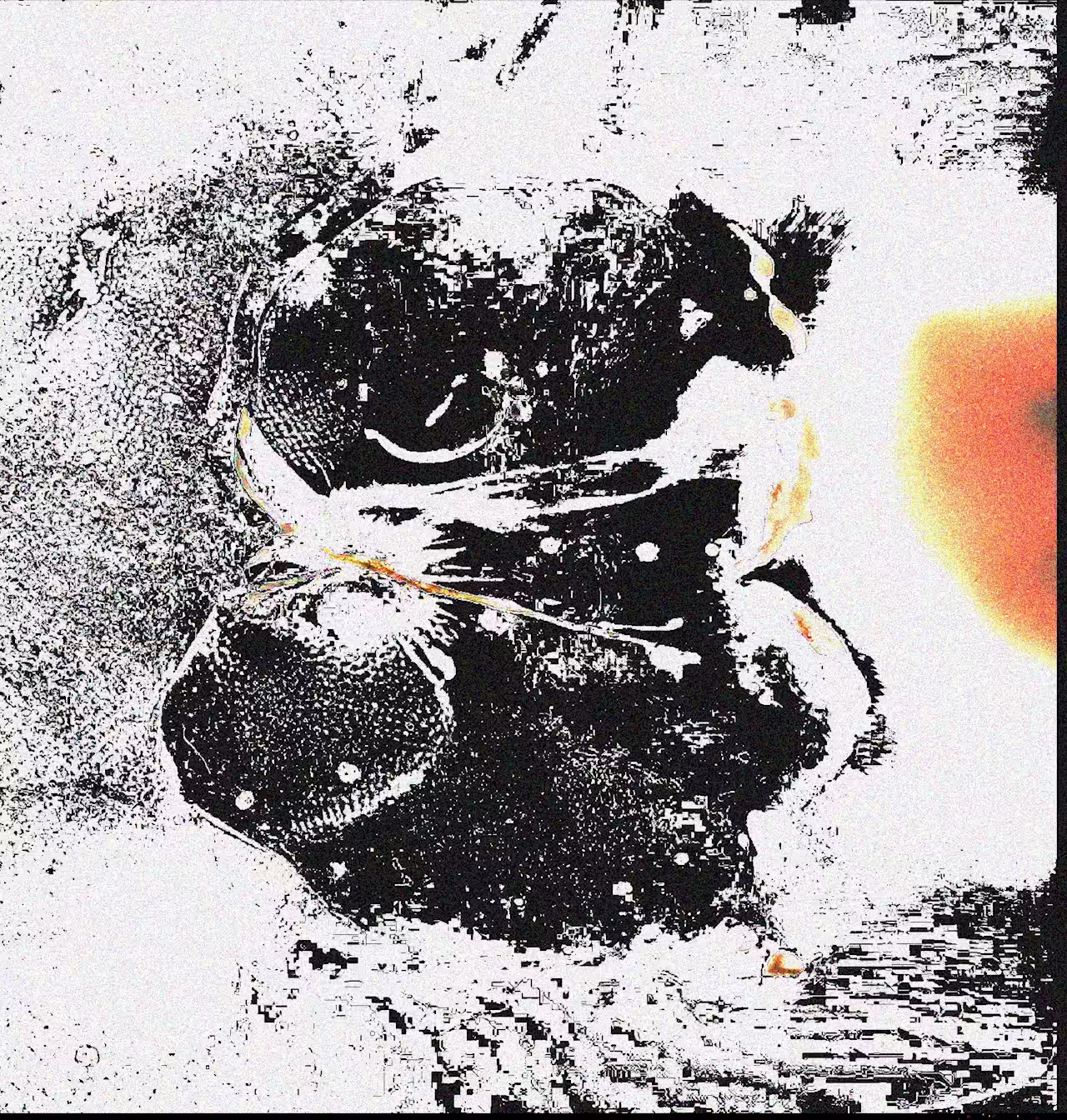 BW Glitch