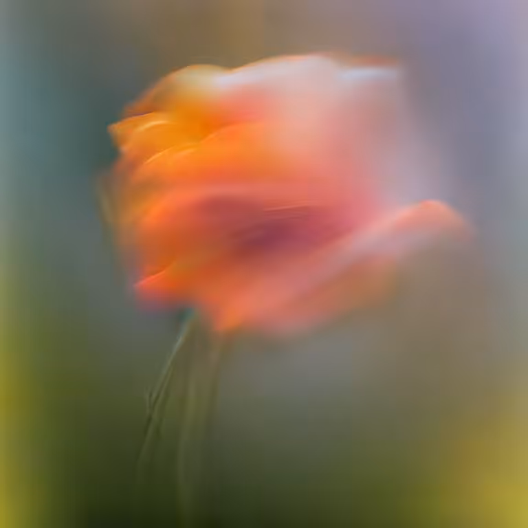 Flower #19