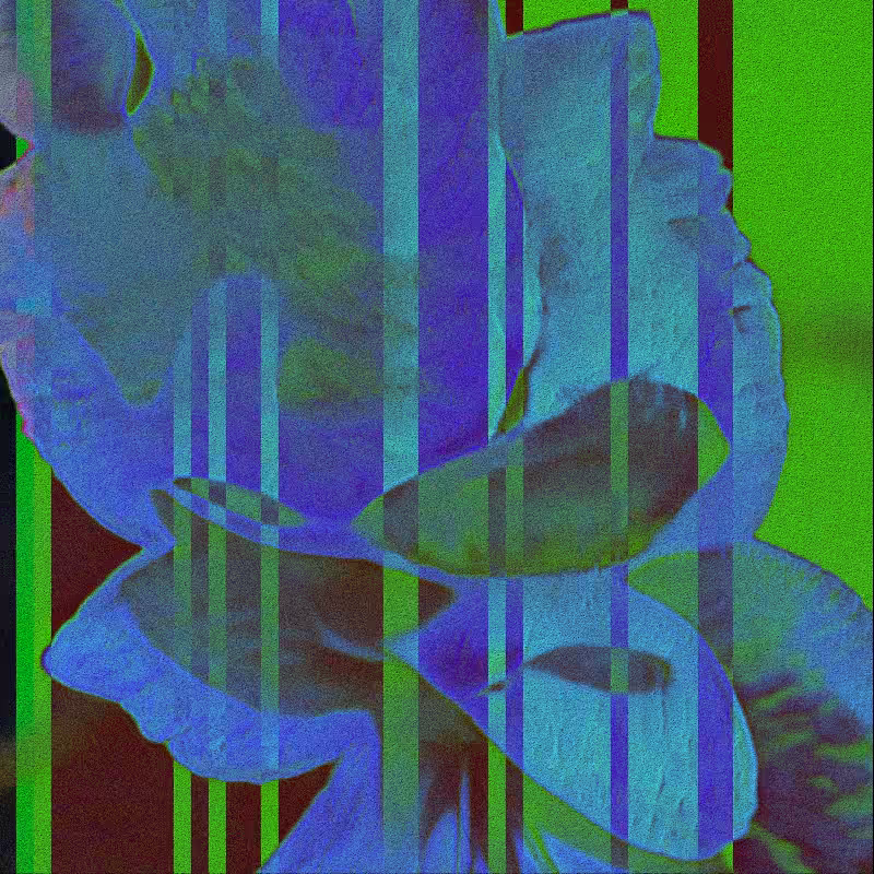CLDCSMC #112