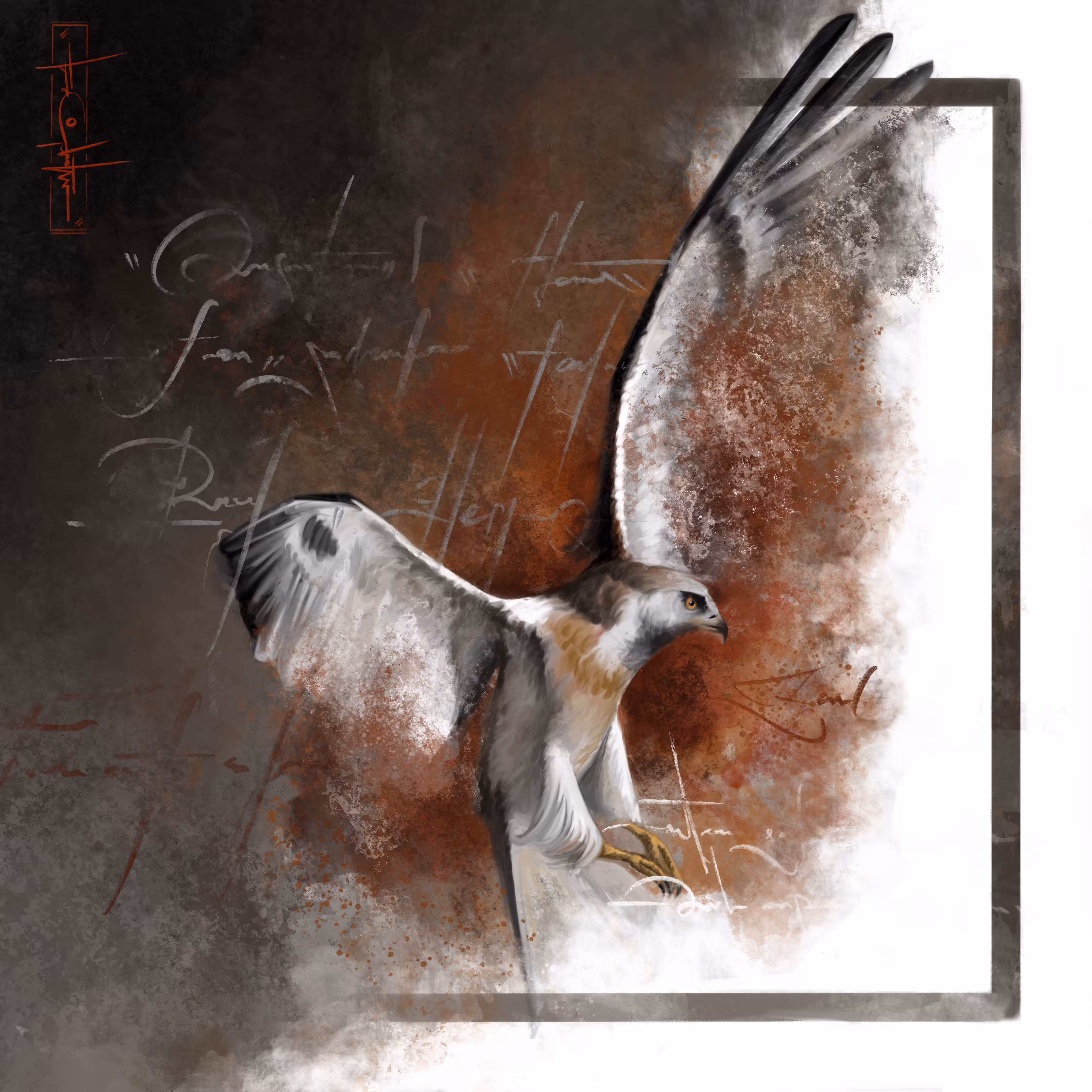 hawk