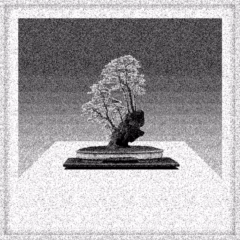 Bonsai Bonanza #136