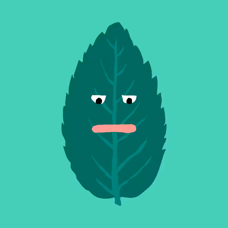 FREE MINT ! #65
