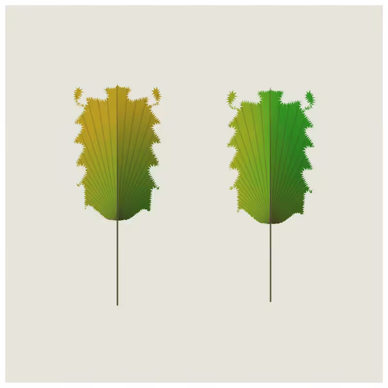Leaves #12