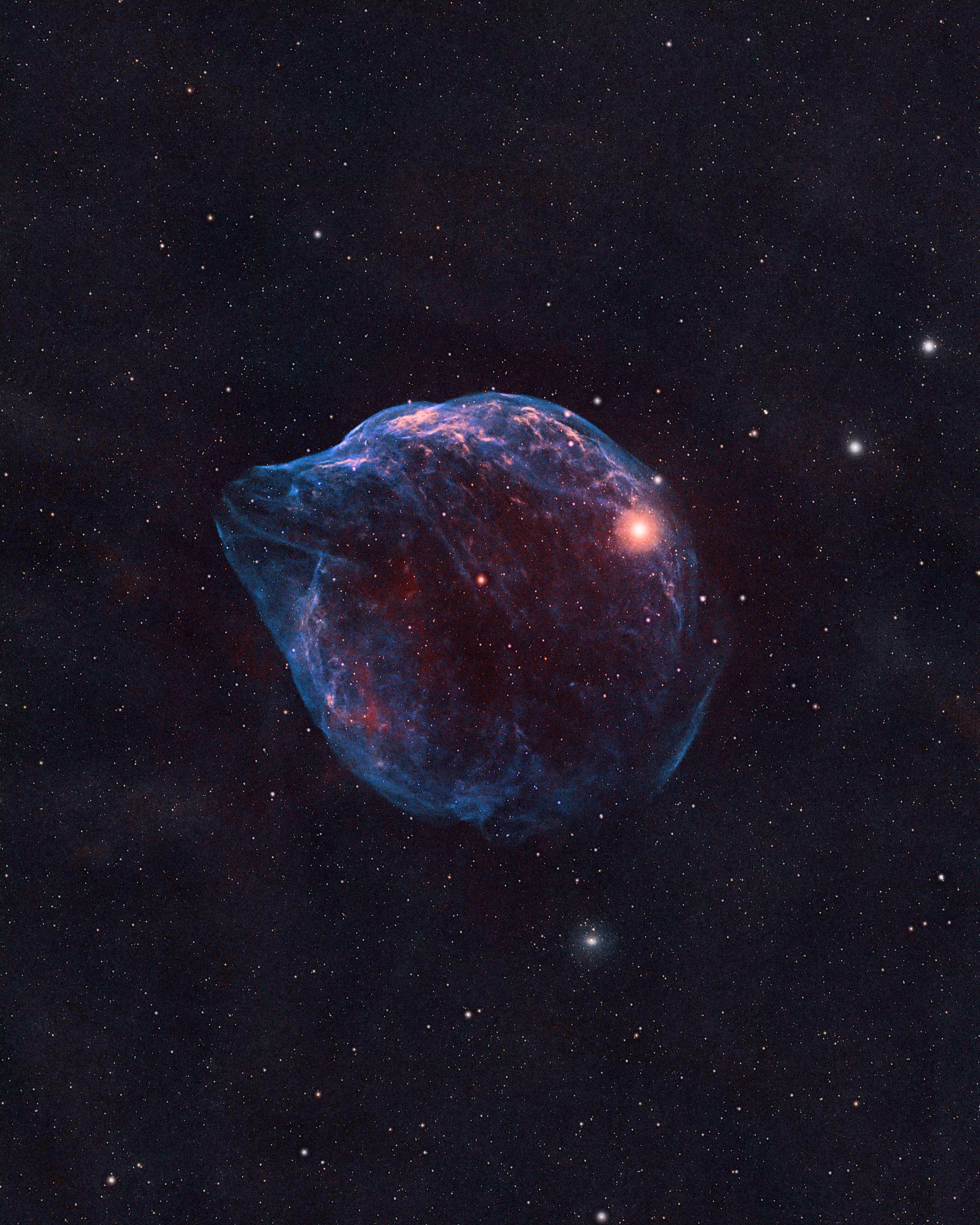 Deep Space x Cosmos Astro Art: Deep Space Collection # 3. Dolphin Head