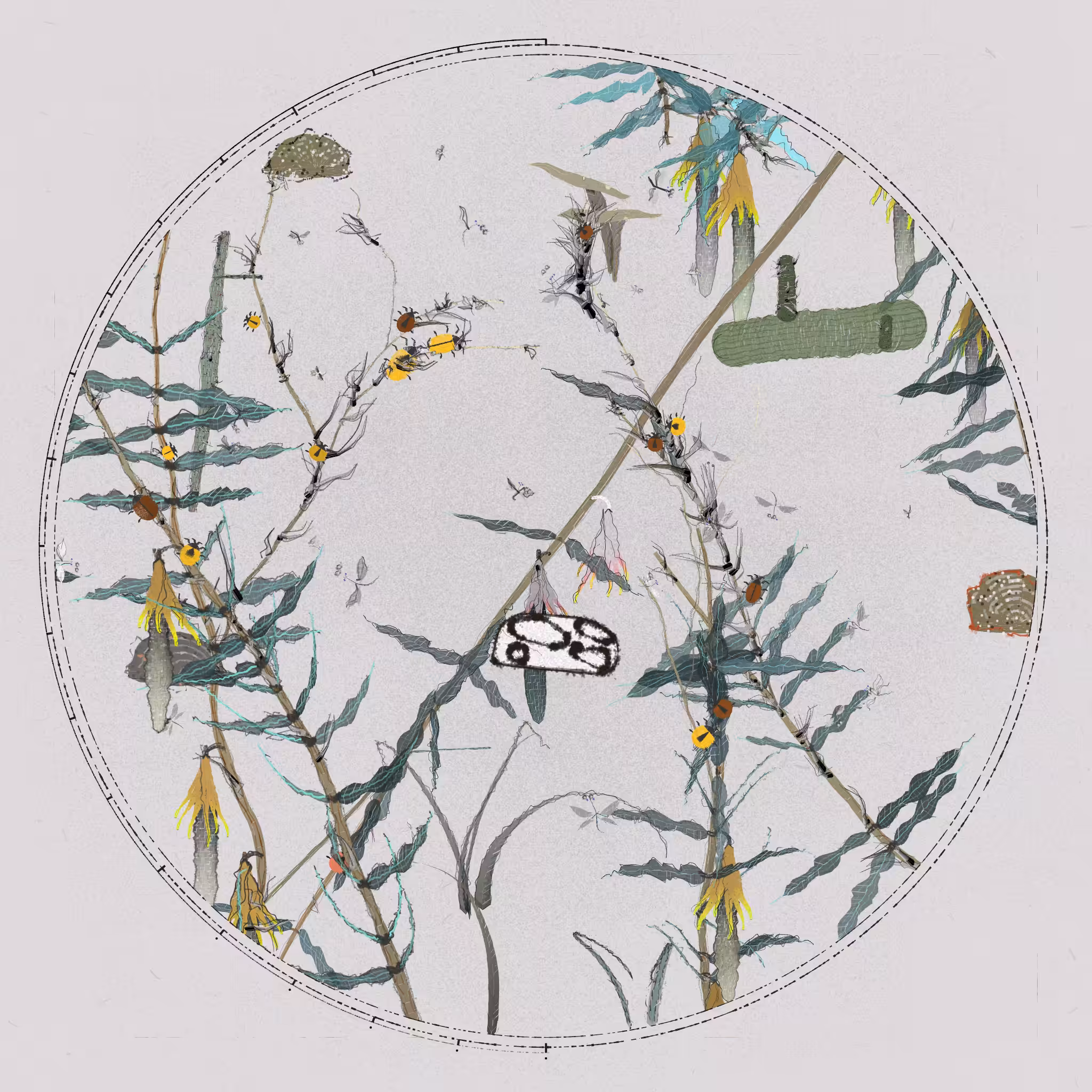 Polypaths | 植徑集 #736