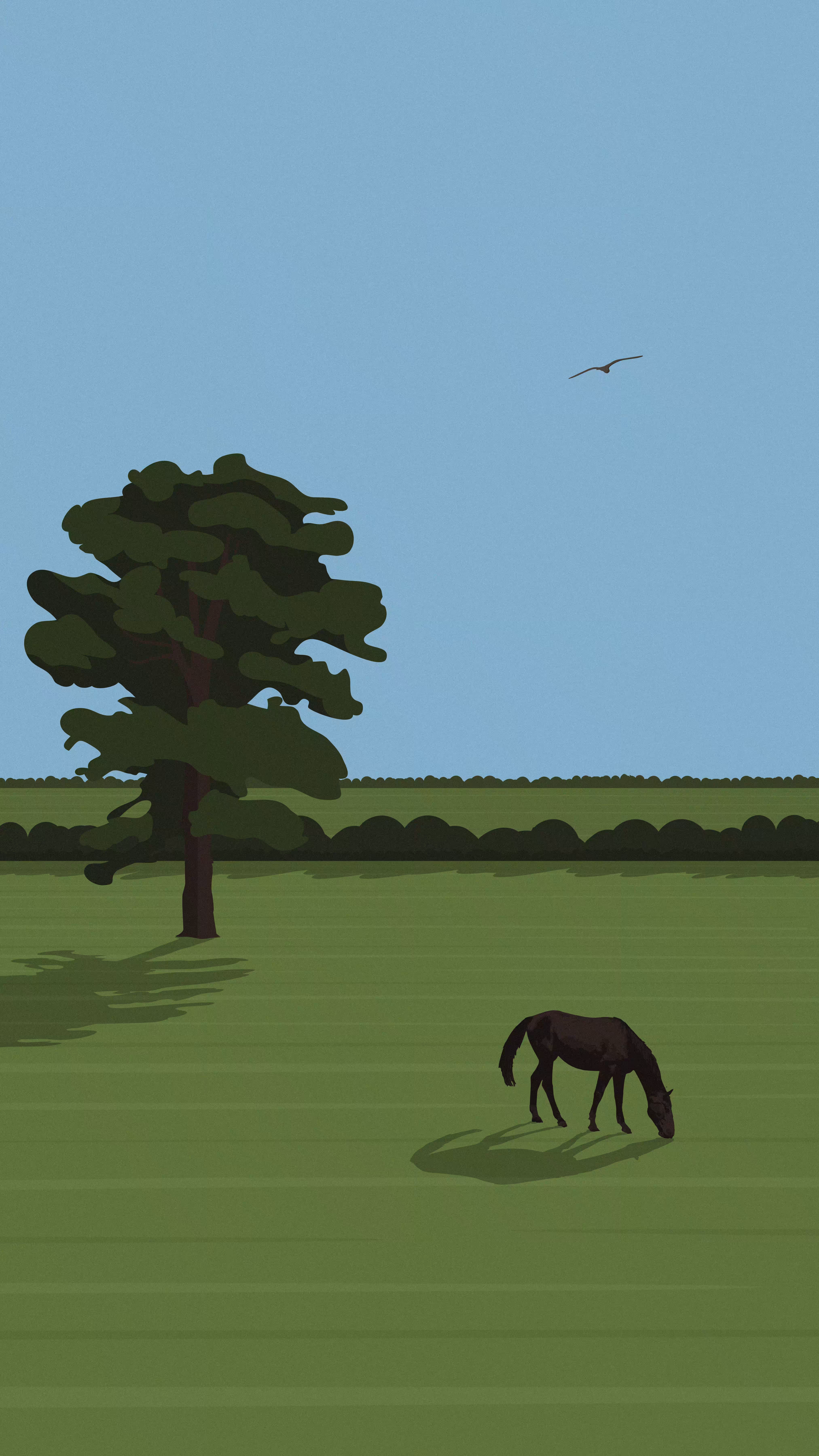 Morning Graze