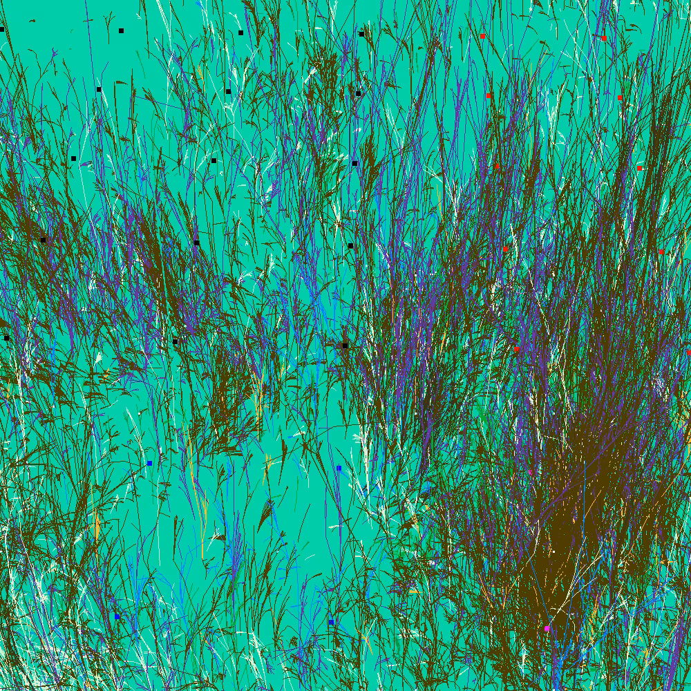 Infinite Garden: 53271 Flowers