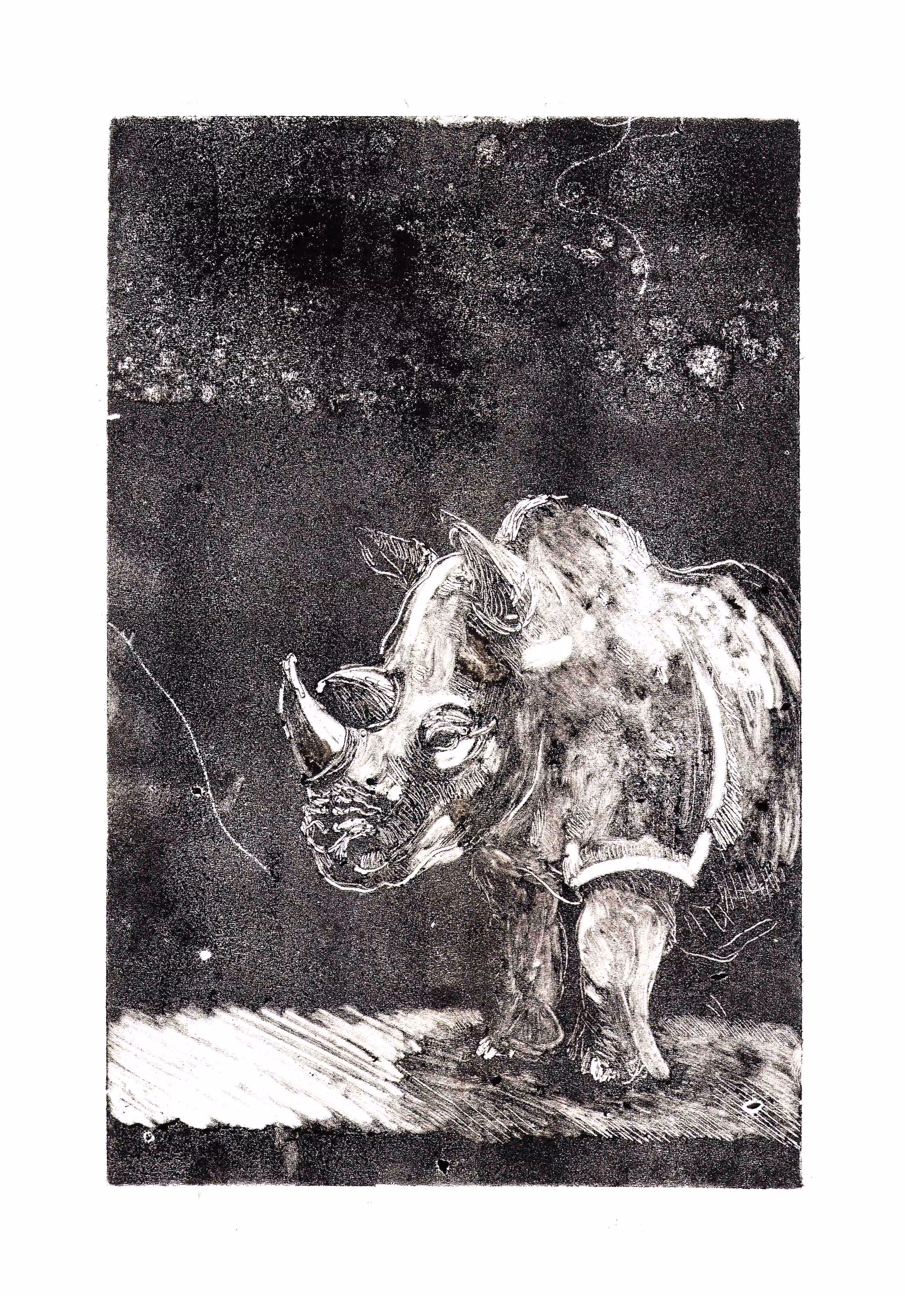 Rhino