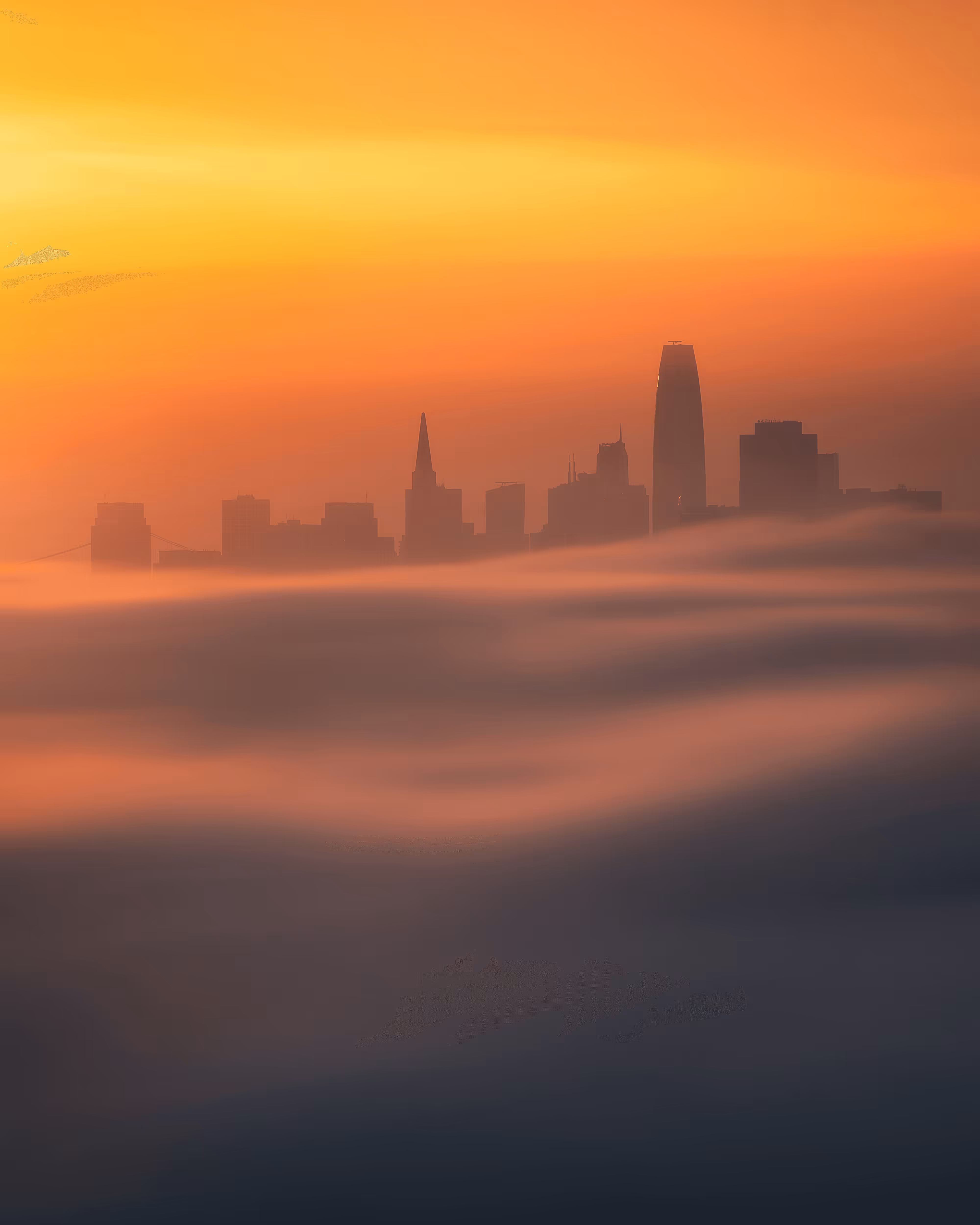 Bay Beginnings #20 // City in the Clouds