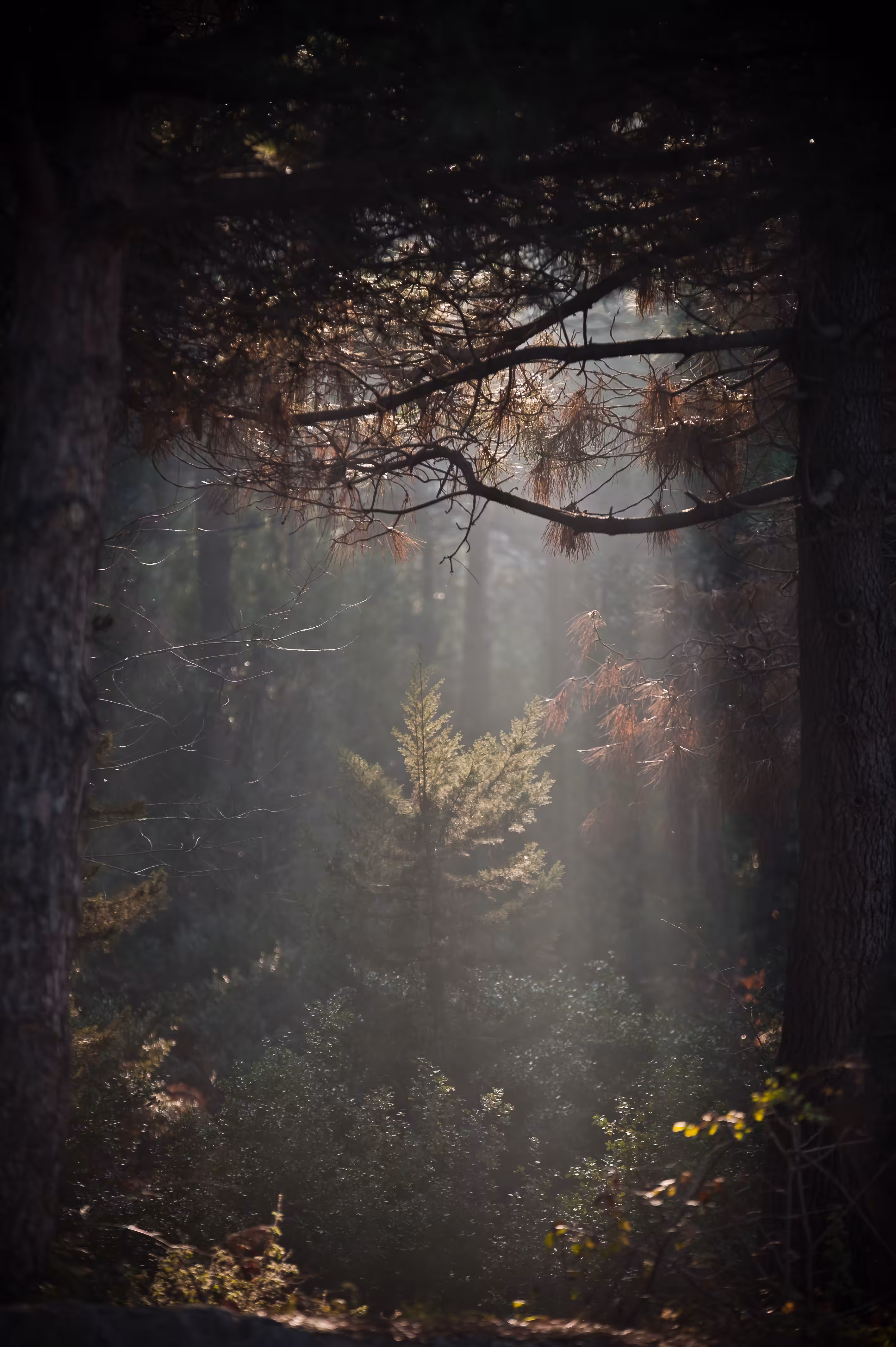 A place...
