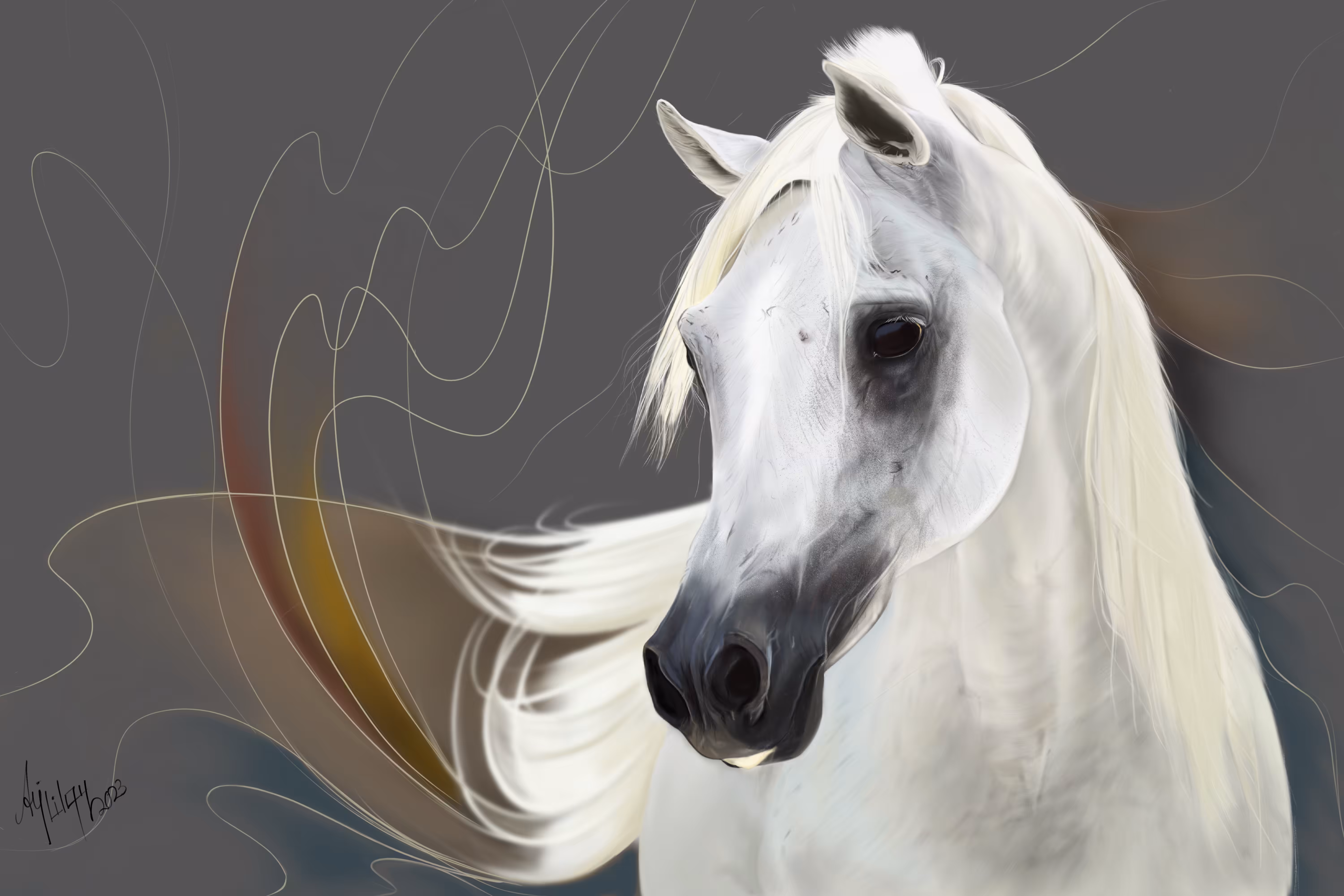 Arabian horse 