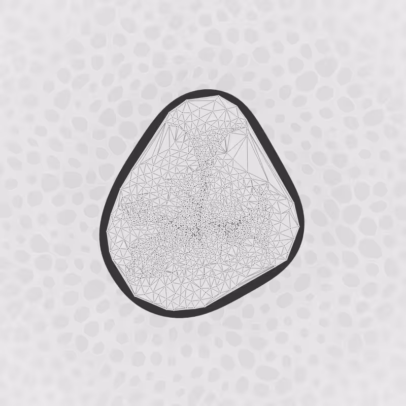 Protista #14