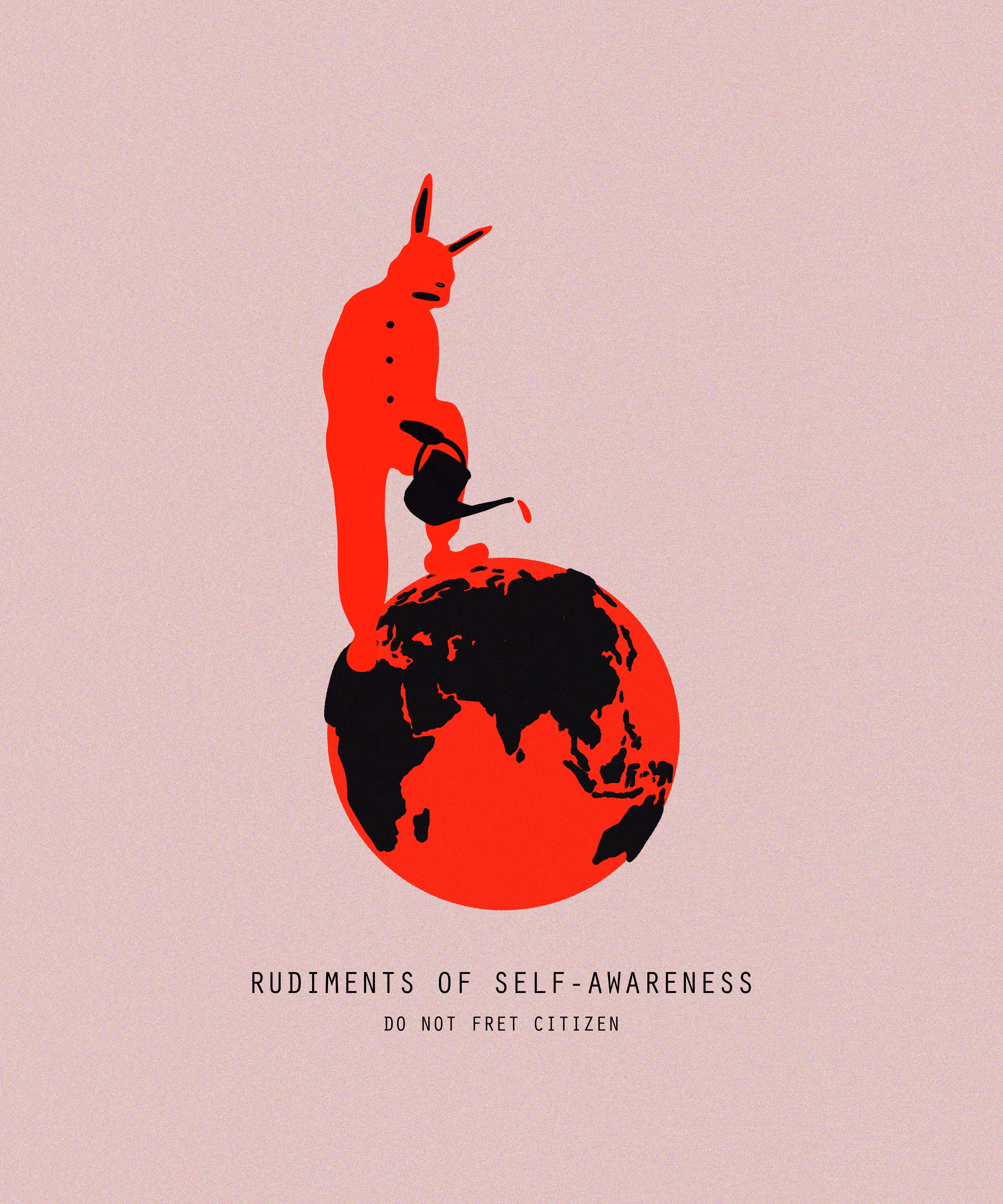 RUDIMENTS OF SELF-AWARENESS