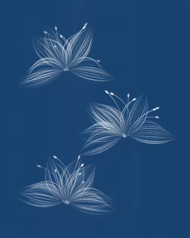 Cyanotypes #141