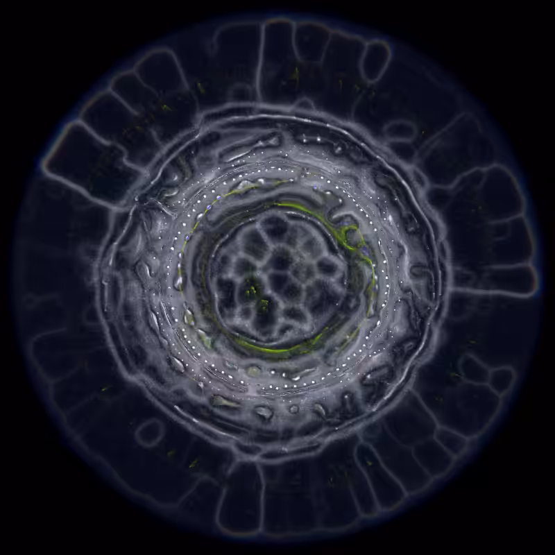 Ethereal Microcosm #239