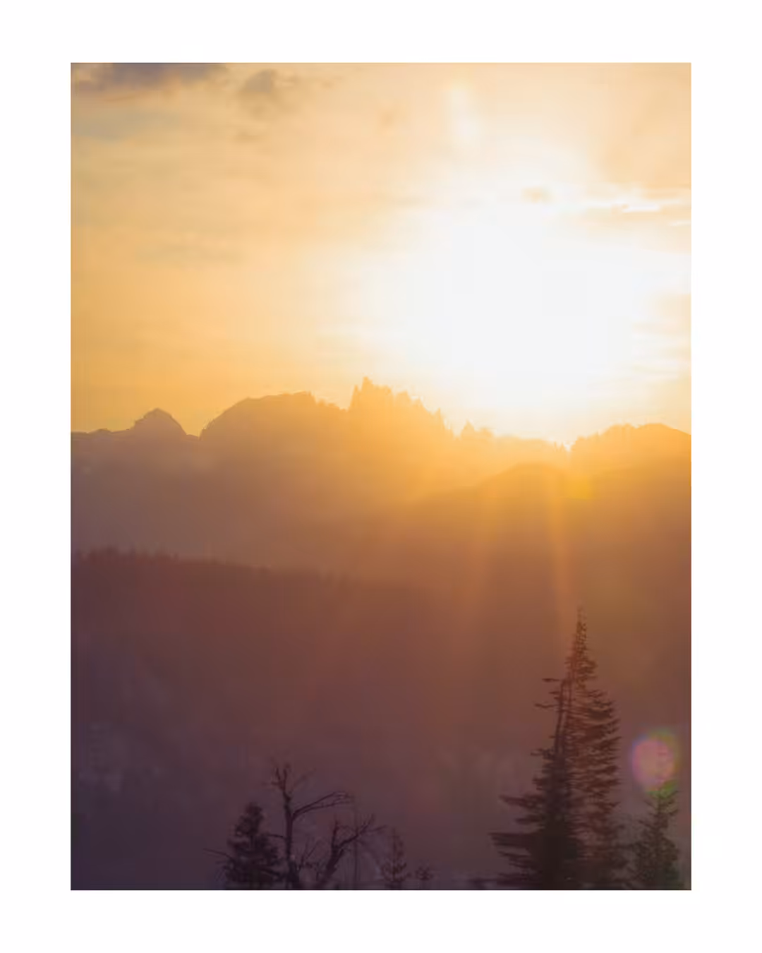 Forgotten Frames — 027