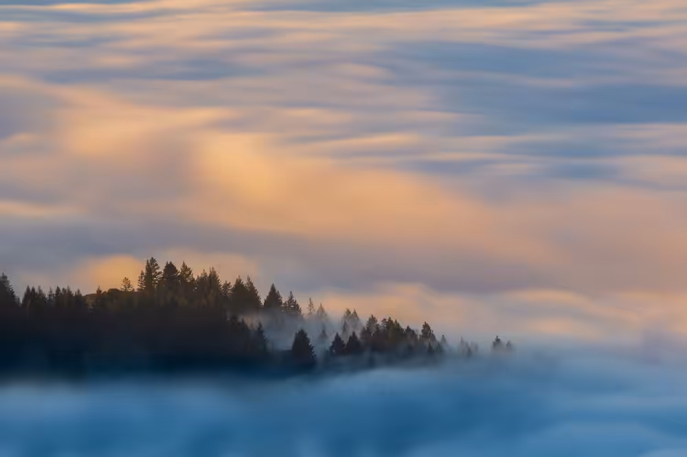 Mt Tam Fog