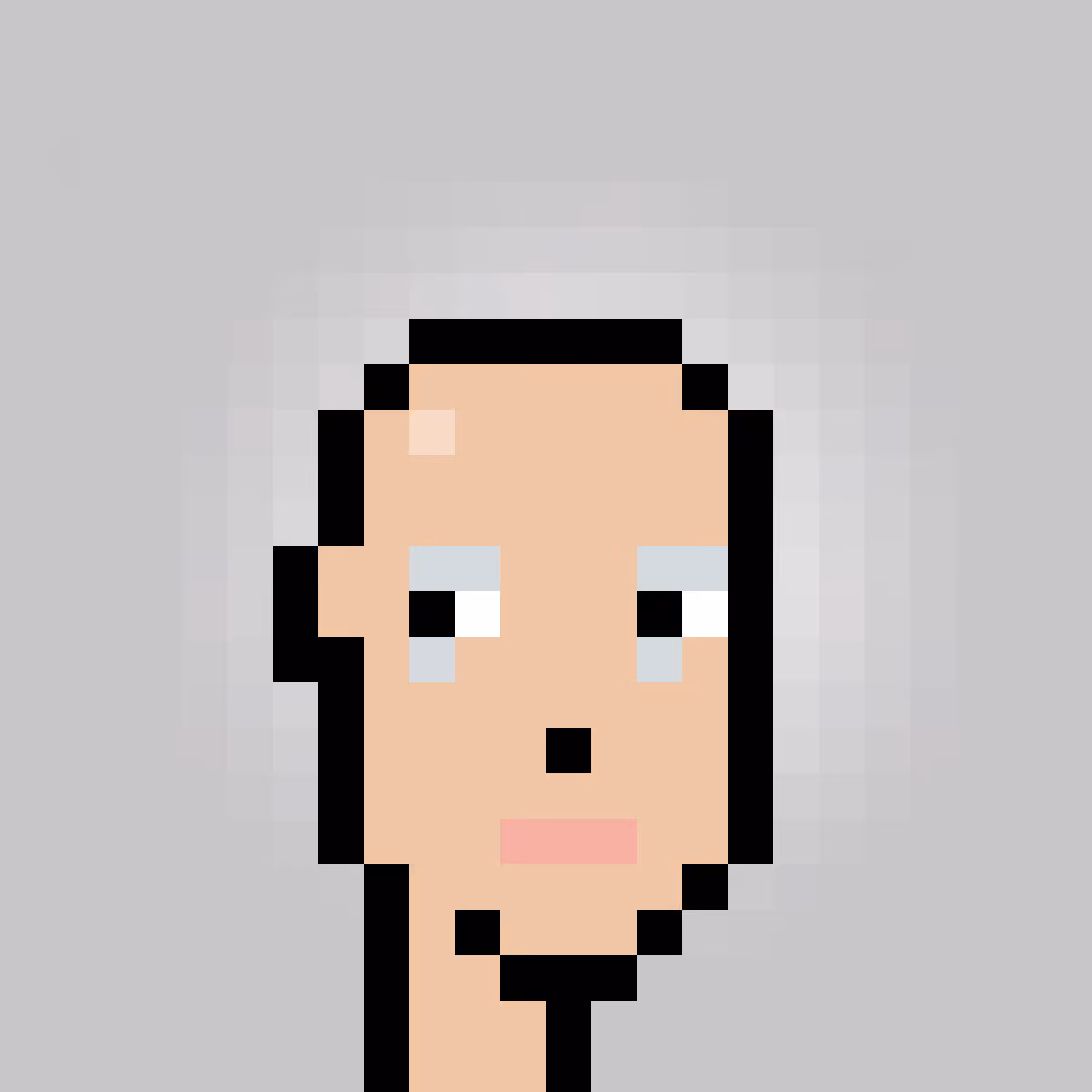 Unofficial Punks V2 #1306