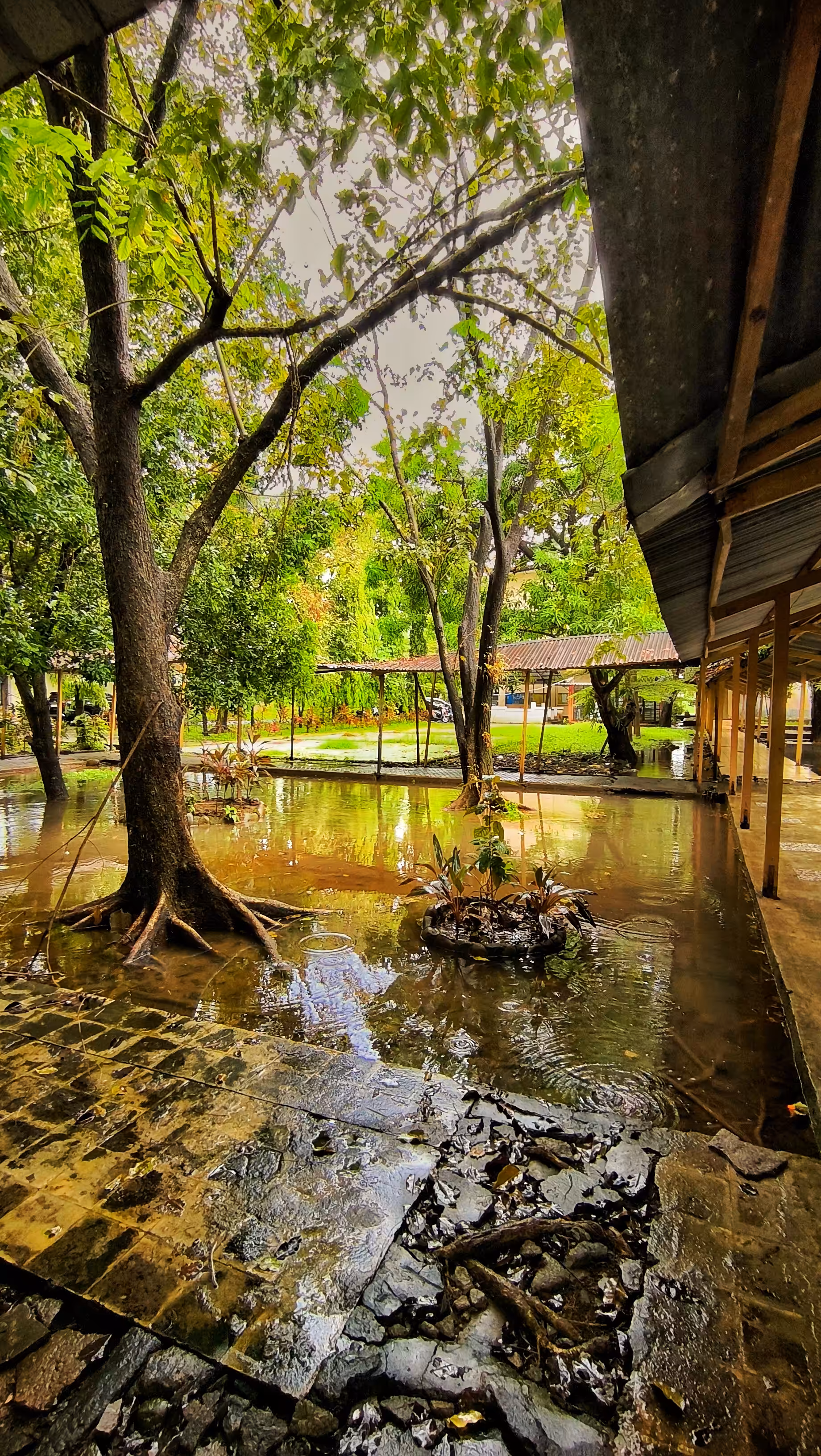 Creative Art: After the Rain, the World Listens