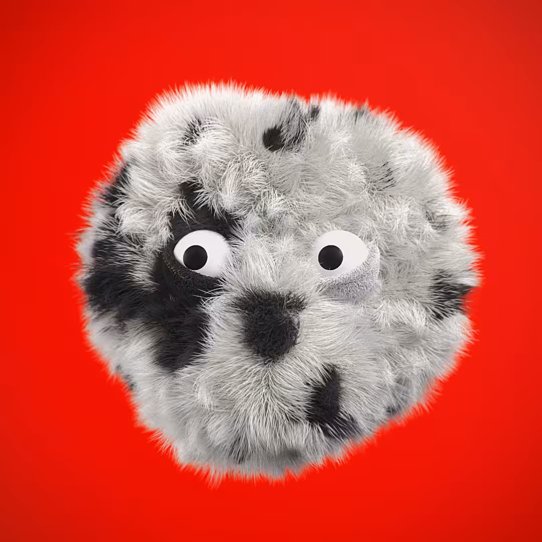 Pongo