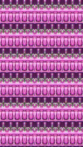 sextion.0001