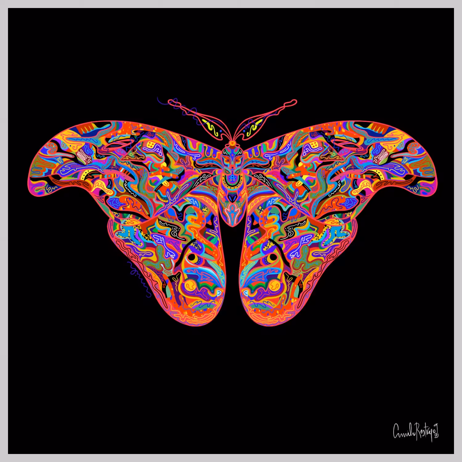 Mariposa desarmada